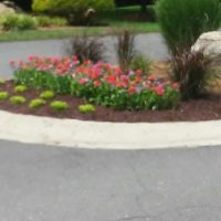 hardscaping landscape design - Landmark AOS