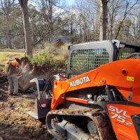 Tree removal companies Charlotte NC - Landmark AOS